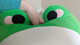 Squishy Plushie Pals - Pea the Frog Plush